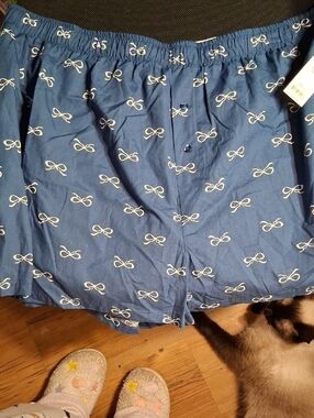 No Boundaries Blue Bow-Print Boxer Shorts